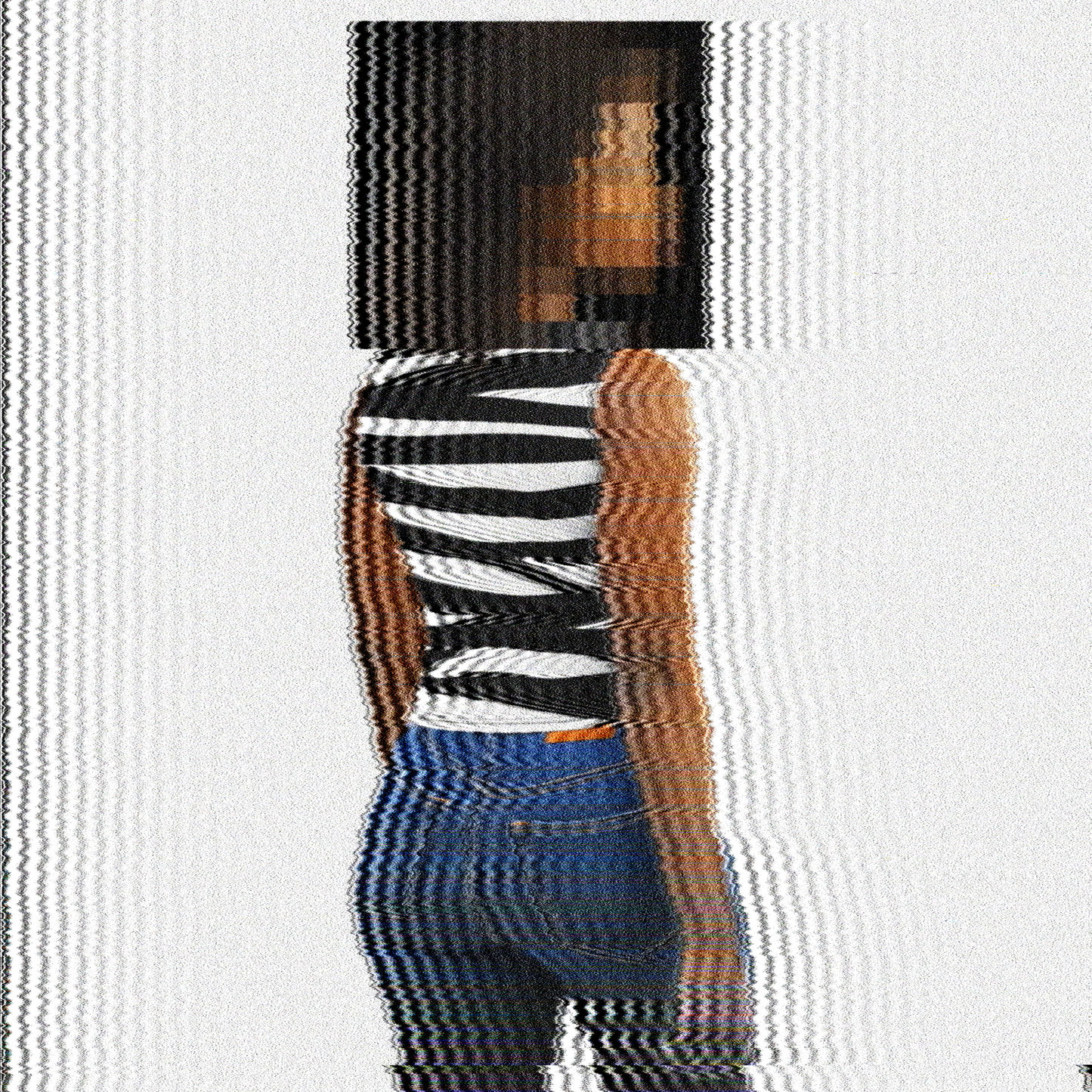 Women's Baadaye Stencil Logo Zebra Print Crop Top