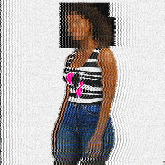 Women's Baadaye Stencil Logo Zebra Print Crop Top